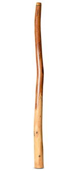 Wix Stix Didgeridoo (WS352)